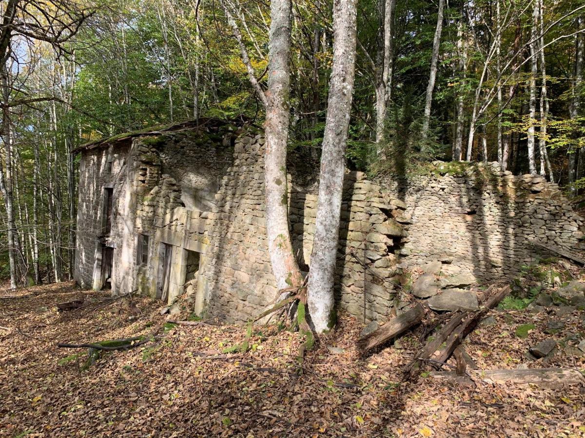 Gite " Oree Des Bois" Vertolaye Exterior foto