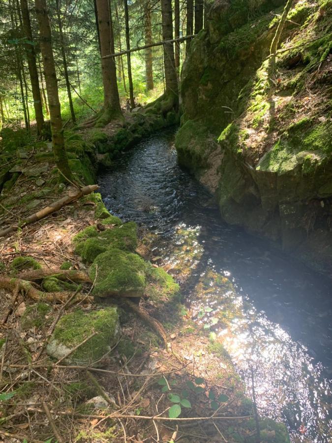 Gite " Oree Des Bois" Vertolaye Exterior foto